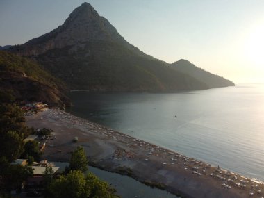 Türkiye 'de deniz kenarındaki bir kayanın üzerinde çam ağacı olan yaz manzarası