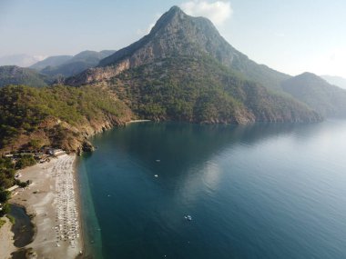 Türkiye 'de deniz kenarındaki bir kayanın üzerinde çam ağacı olan yaz manzarası