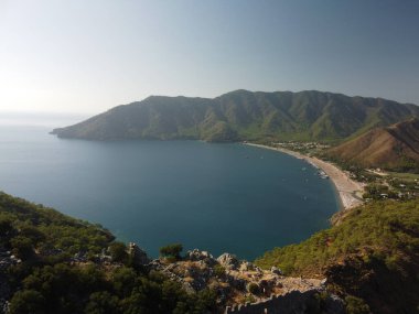 Türkiye 'de deniz kenarındaki bir kayanın üzerinde çam ağacı olan yaz manzarası