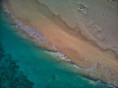 Tropikal bir cennete git. Palmiye ağaçları, berrak mavi deniz ve insansız beyaz kum olan cennet kumsalı. Video 4K