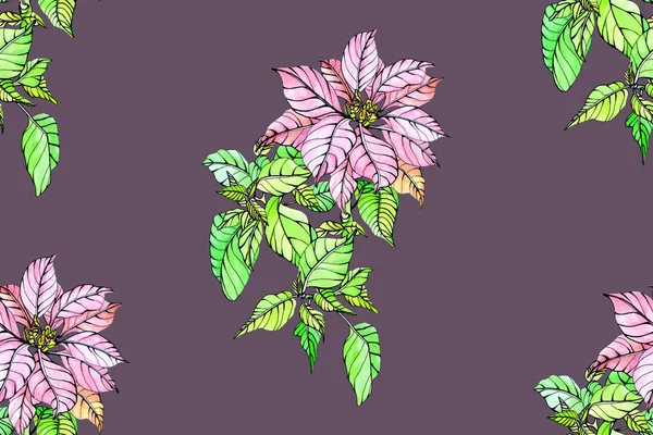 Patrón Sin Costuras Con Euphorbia Poinsettia Texturas Acuarela Dibujadas Mano — Foto de Stock