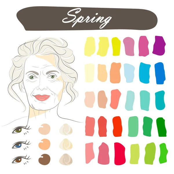 春の外観のタイプのための最高の色を持つストックベクトル季節色分析パレット 白髪交じりの笑顔の魅力的な美熟女の顔 — ストックベクタ