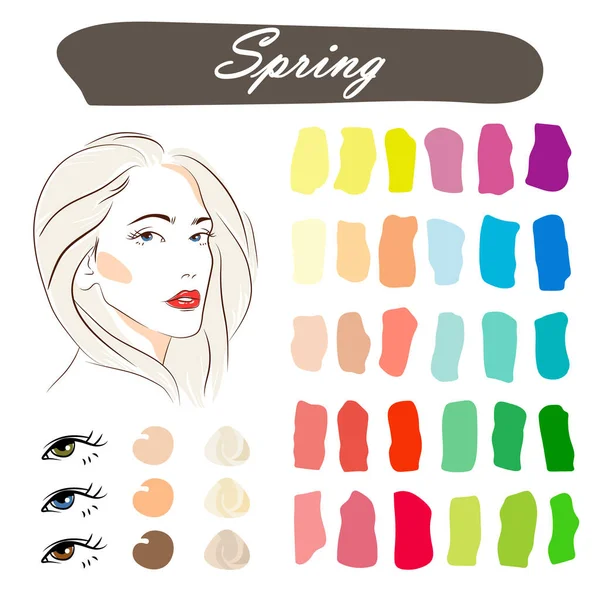 储存量矢量季节性色彩分析调色板与最佳颜色的春季类型外观 一个白发苍苍的年轻貌美的女人的脸 — 图库矢量图片#