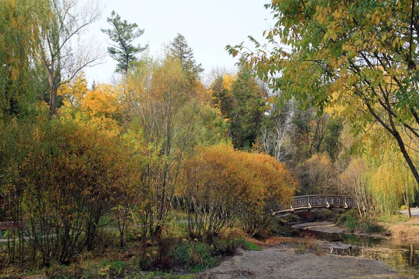 Podzimní Krajina Barevnými Stromy Mostem — Stock fotografie