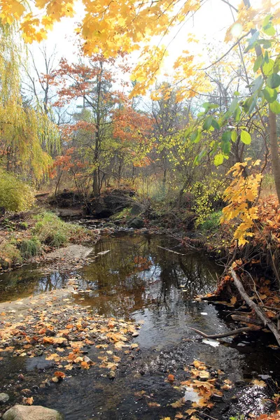 Hösten Landskap Med Färgglada Träd Och Flod — Stockfoto