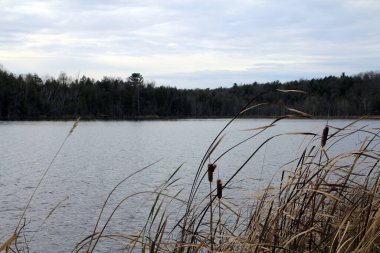Gün batımında göl manzarası