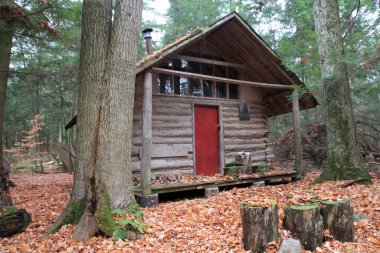 Ormandaki eski ahşap kulübe