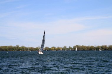 Su yüzeyinde yelkenli yatı