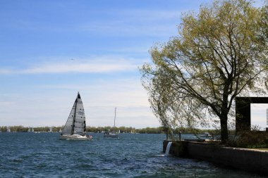 Su yüzeyinde yelkenli yatı
