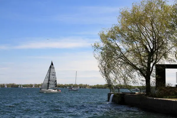 Su yüzeyinde yelkenli yatı