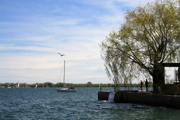 Su yüzeyinde yelkenli yatı