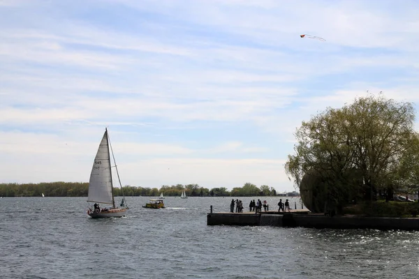 Rıhtımın yakınındaki su yüzeyinde yelkenli.