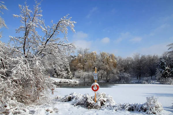Paisaje Invernal Con Árboles Cubiertos Nieve Estanque Congelado —  Fotos de Stock