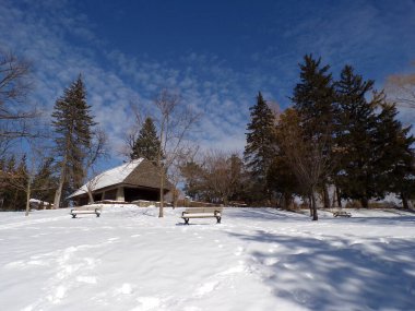Ormandaki donmuş dereli kış manzarası