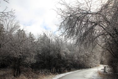 yağmur sonra kış manzarası