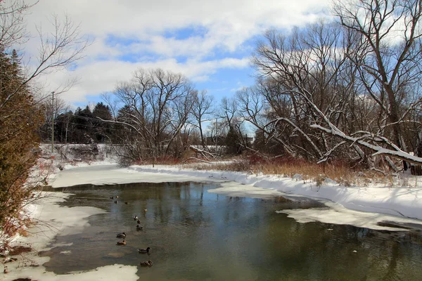 Winterlandschaft Mit Bäumen Und Fluss Winter — Stockfoto