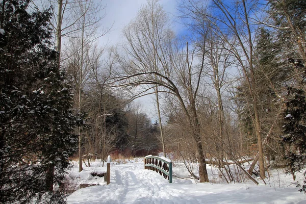 Paisagem Inverno Com Ponte — Fotografia de Stock
