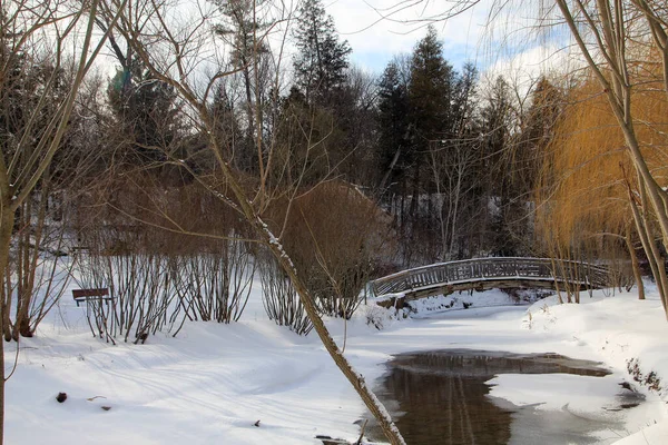Зимний Пейзаж Деревянным Мостом — стоковое фото