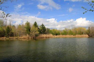 Göl ve ağaçlarla dolu yaz manzarası