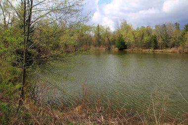 göl ve ağaçlar ile bahar manzara