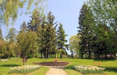 Parkta çiçek açan çiçeklerle dolu bahar manzarası