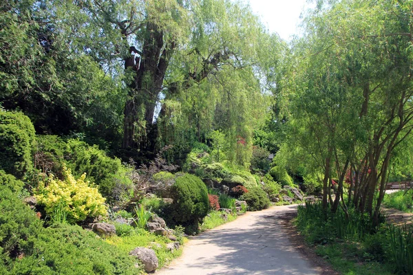 Paisaje Primavera Con Sendero Parque Floreciente —  Fotos de Stock