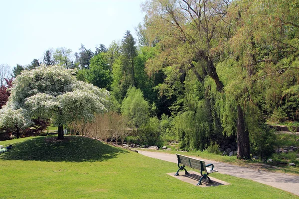 Parkta Çiçek Açan Ağaçla Bahar Manzarası — Stok fotoğraf