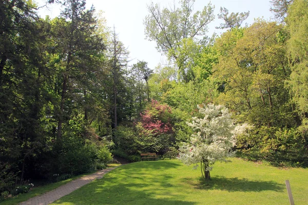 Paisaje Primaveral Con Árbol Floreciente Parque —  Fotos de Stock