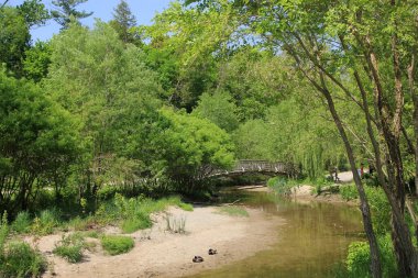 Parkta köprü olan bahar manzarası