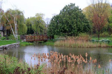 Havuzu ve köprüsü olan bahar manzarası
