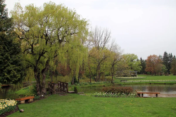 Frühlingslandschaft Des Parks Mit Teich Und Brücke — Stockfoto