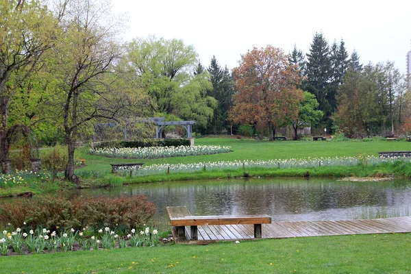 Paisagem Primavera Parque Com Lagoa Flores — Fotografia de Stock