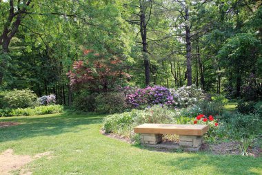 Çiçekli çalıların olduğu park manzarası