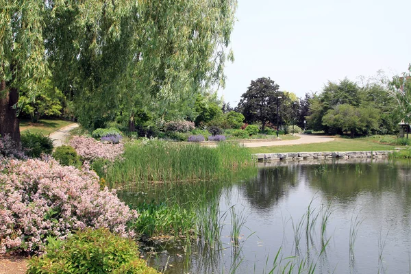 公园里有池塘的夏季风景 — 图库照片