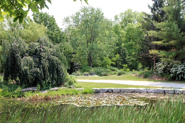 公園内の池と夏の風景 — ストック写真