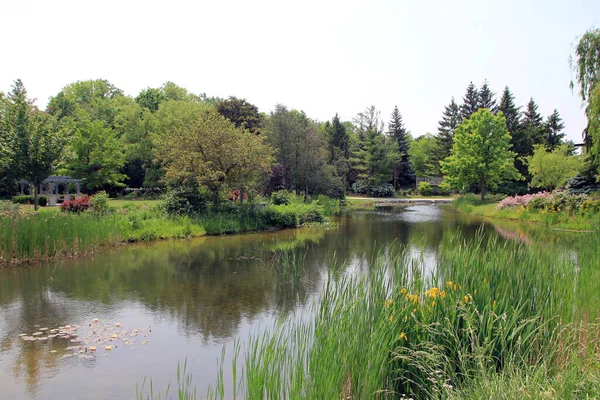 公园里有池塘的夏季风景 — 图库照片