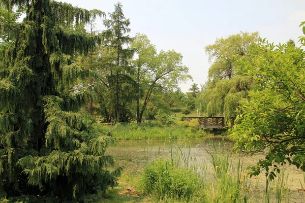 Sommerlandschaft Mit Teich Und Brücke — Stockfoto