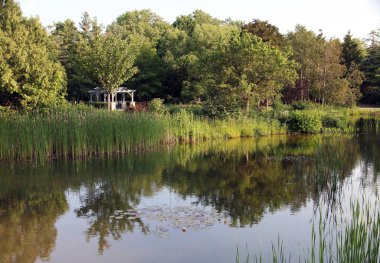 Ağaçlı ve göletli yaz manzarası