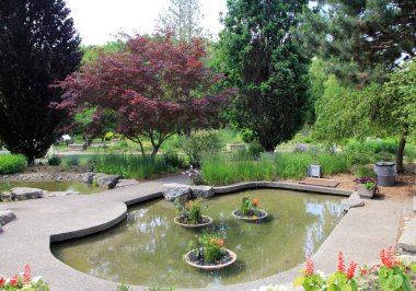 Yaz manzarası parkın içinde.