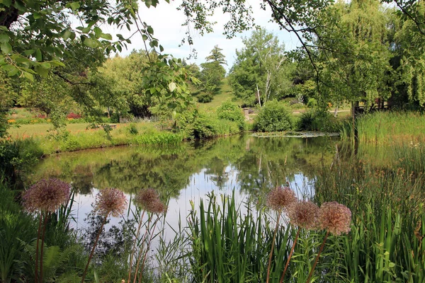 Sommerlandschaft Mit Teich — Stockfoto