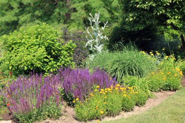 Çiçek tarhında renkli çiçekler