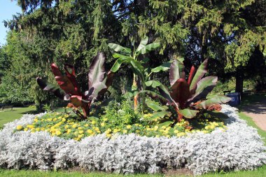 Parkta ağaçların ve çiçeklerin olduğu yaz manzarası