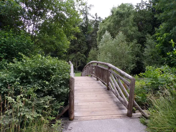 Summer Landscape Wood Bridge Park — Stock Photo, Image