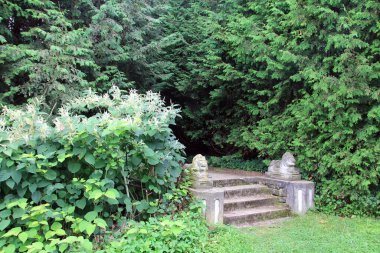 Summer landscape of park with old stairs clipart