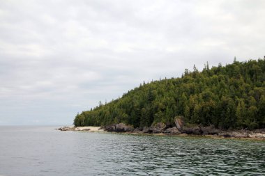 Göl manzarası ve adadaki ağaçlar
