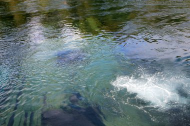 Gemiyi suyun altında boğmak.