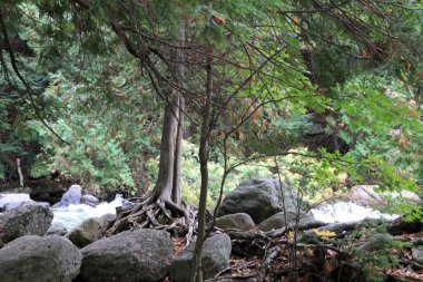 Taşlarla birlikte yere düşelim.