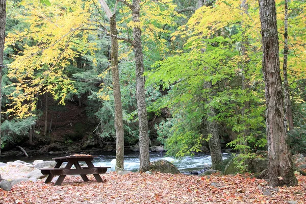Herbstlandschaft Mit Tisch Flussstrand Wald — Stockfoto