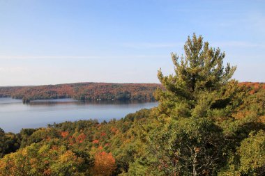 Ormandaki gölle birlikte sonbahar manzarası