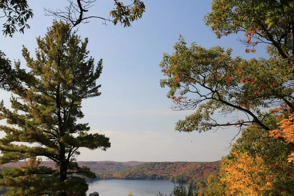 Podzimní Krajina Jezerem Lese — Stock fotografie